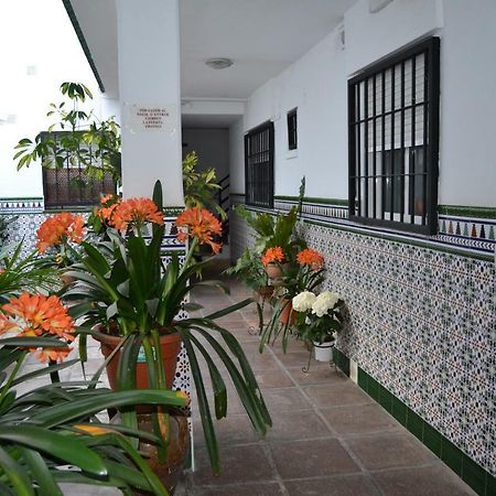 Apartament Nuevo Sueno Del Alcazar Kordoba Zewnętrze zdjęcie