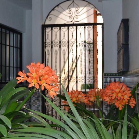 Apartament Nuevo Sueno Del Alcazar Kordoba Zewnętrze zdjęcie