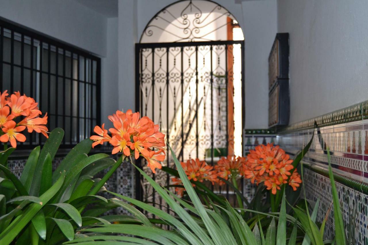 Apartament Nuevo Sueno Del Alcazar Kordoba Zewnętrze zdjęcie
